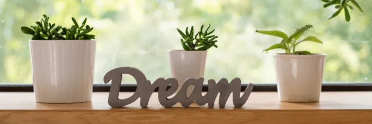 Idioms about Dreams and Ambitions | Figure Out English