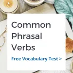 Common Phrasal Verbs Quiz 2